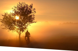 blog-1