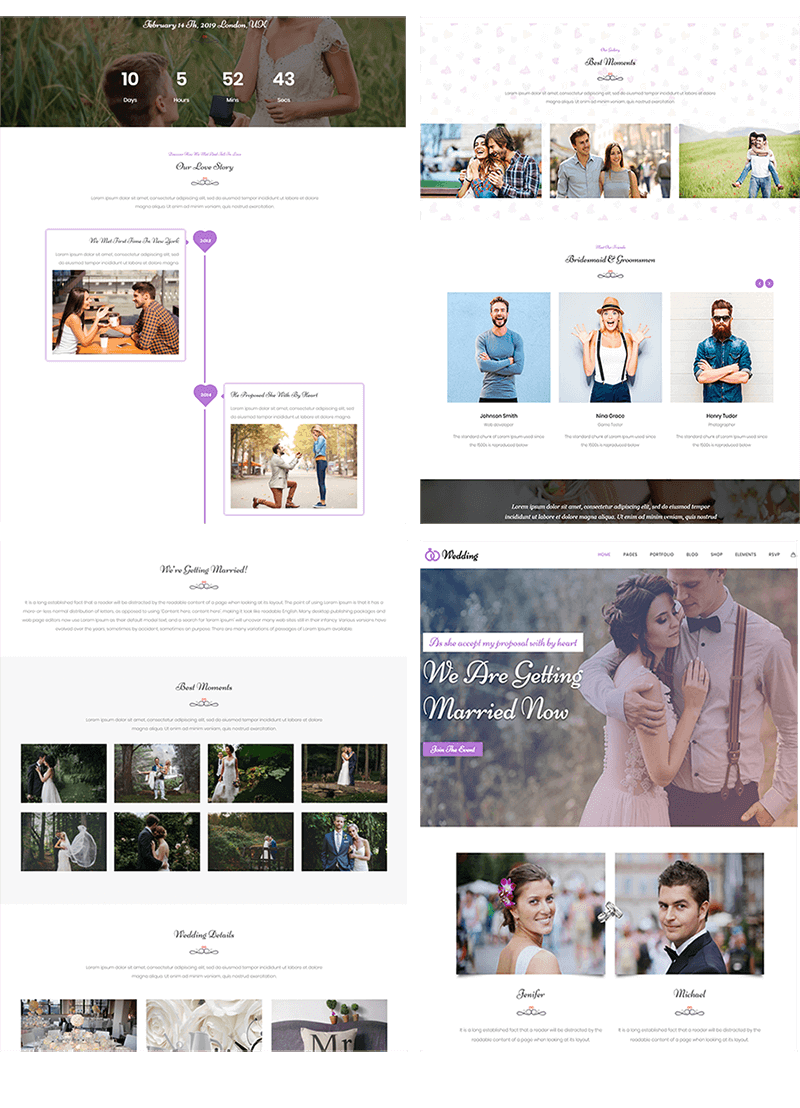  Multiple demos for Wedding Planner WordPress Theme