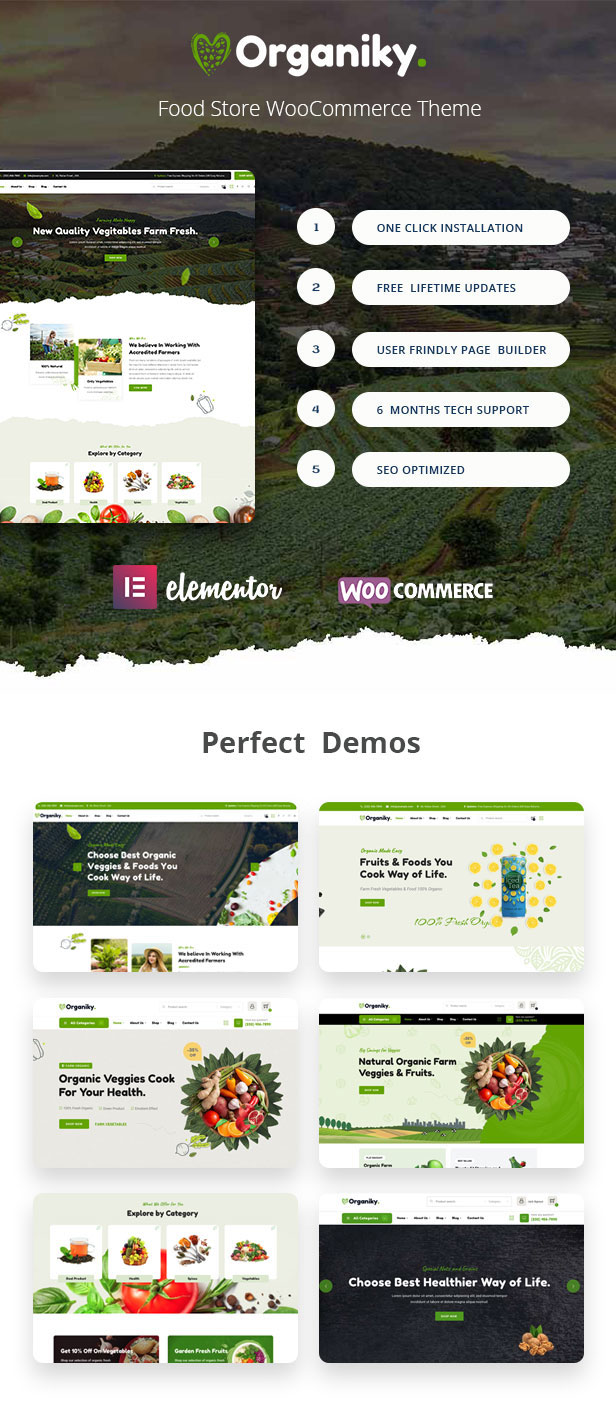 Organiky – Organic Food Store WordPressTheme Demos