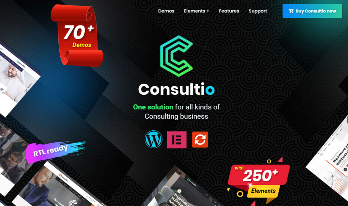 Top Customizable Theme for Consulting