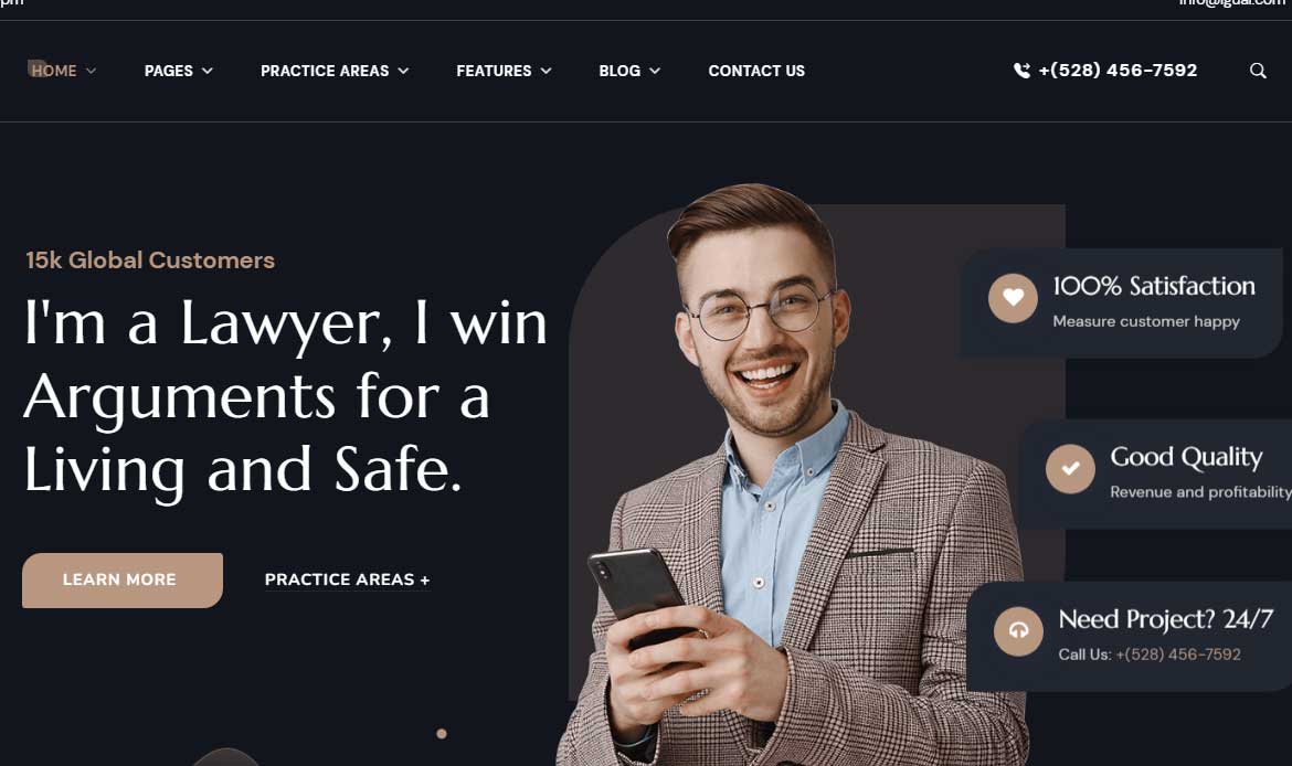 Professional Theme for a Website