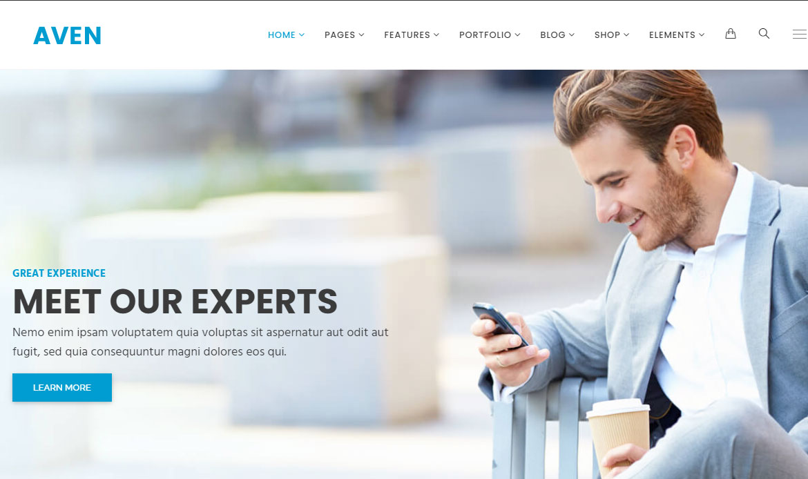 Aven IT Company Template