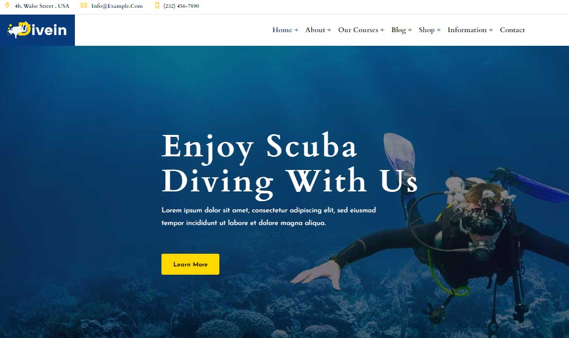 Creative WordPress Themes