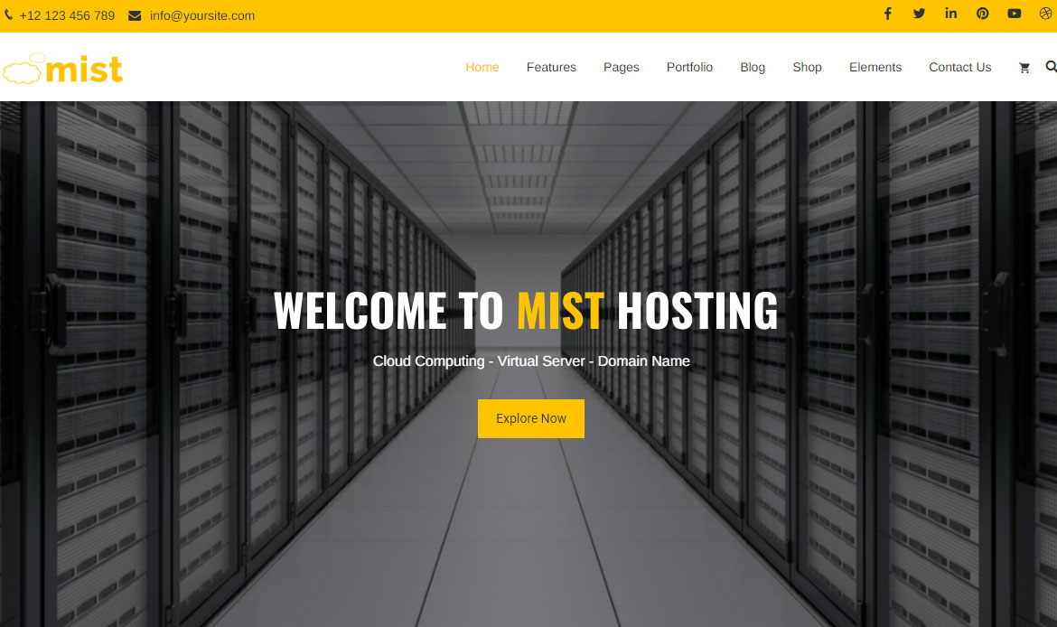 Mist Consulting Website Theme