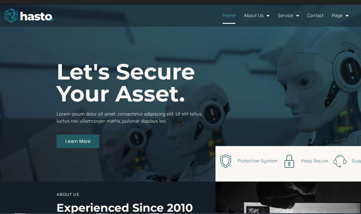 Cyber Security Template for website