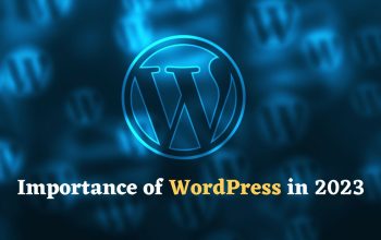 Importance of WordPress in 2024