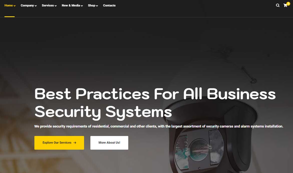 Cyber Security for Website