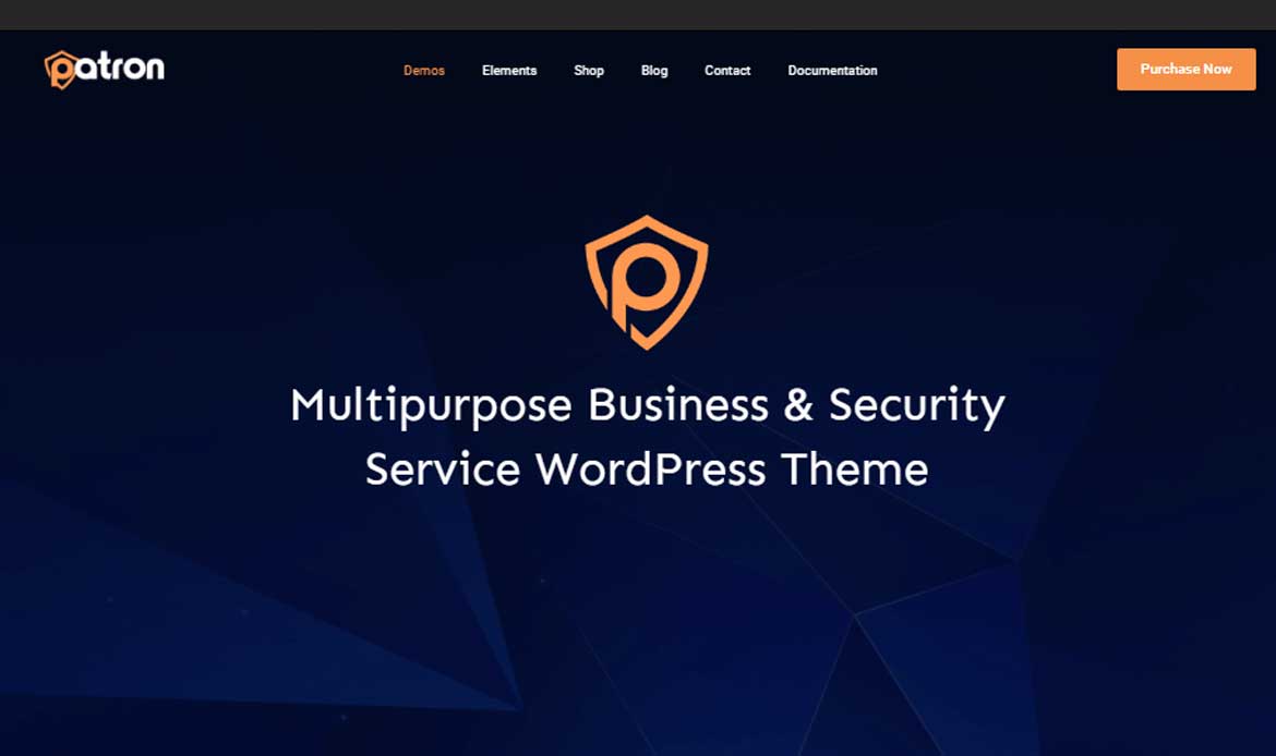Popular Cyber Security theme