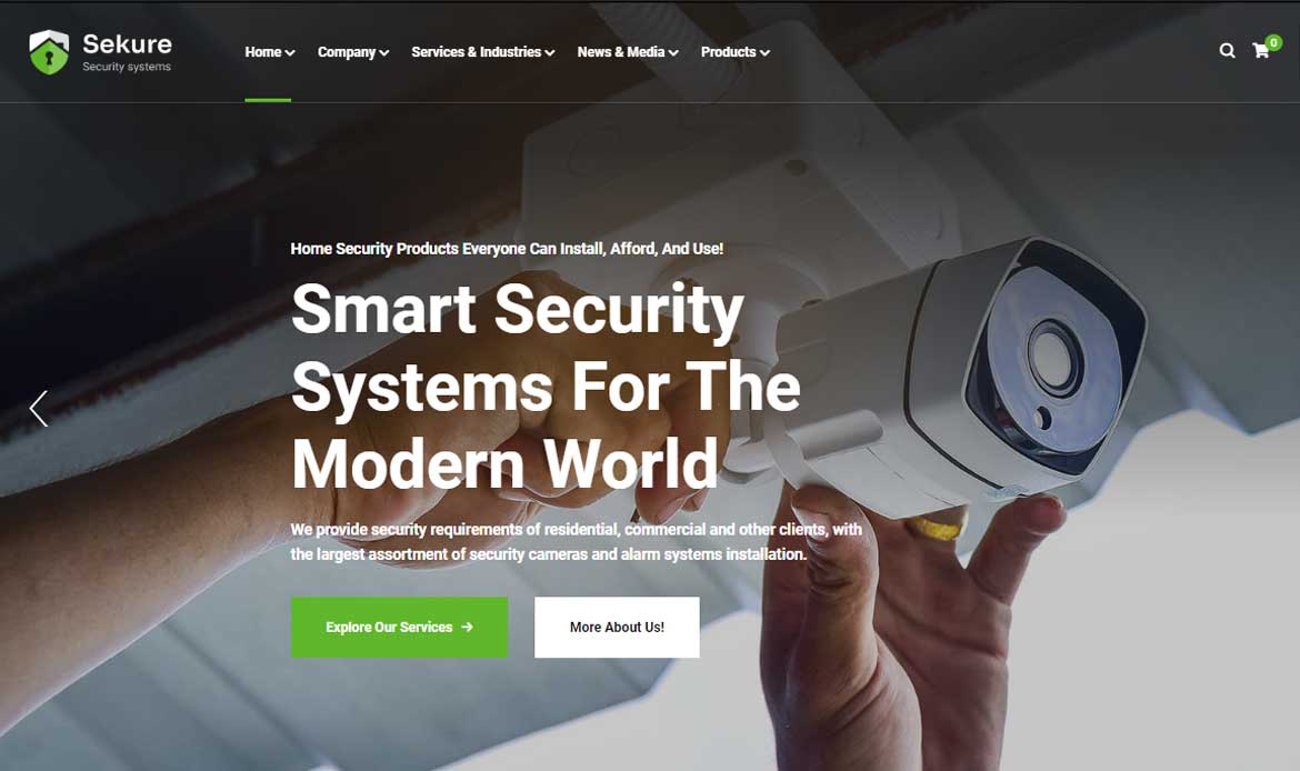 Popular WordPress Theme