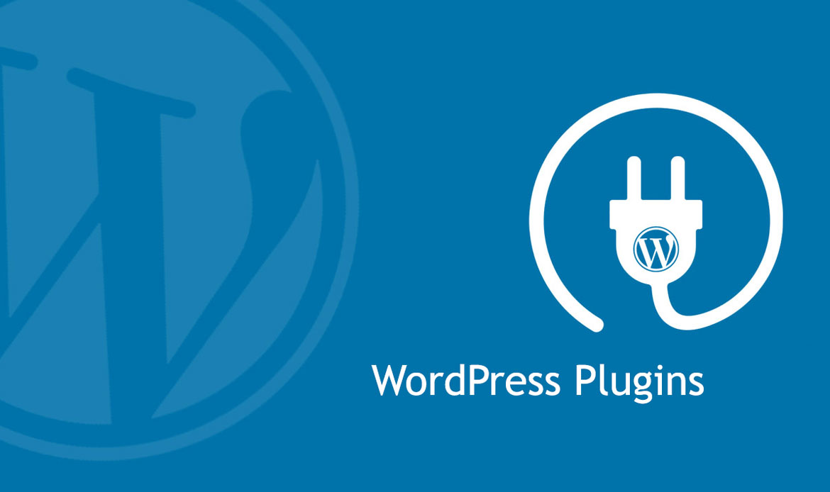 Customize Website Theme