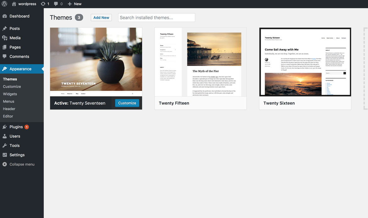 Customize WordPress Theme