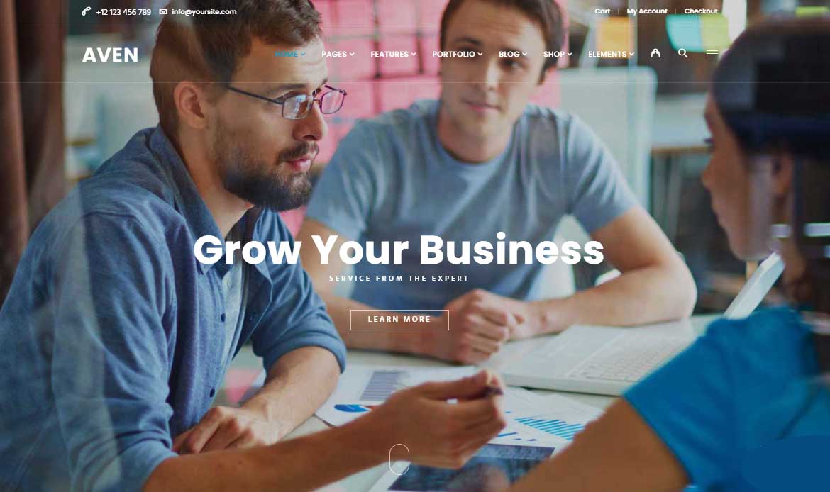 Aven Small Business Template