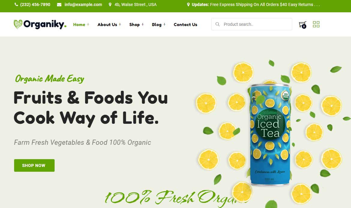 Trendy WordPress Template
