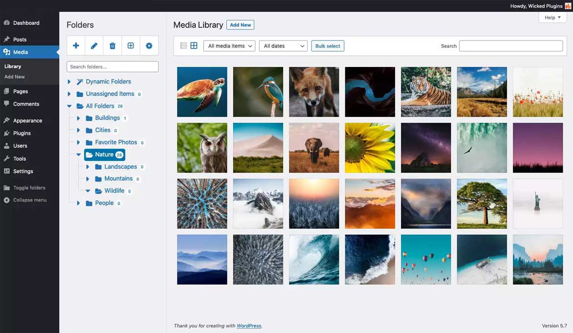 Consider a Media Library Plugin