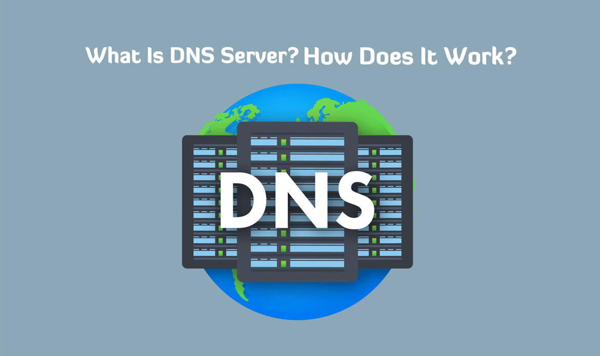 DNS with No Downtime WordPress Websites
