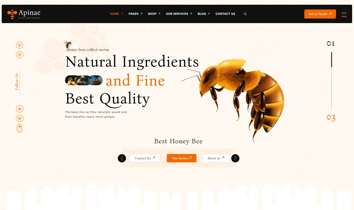 Beekeeping Honey Products