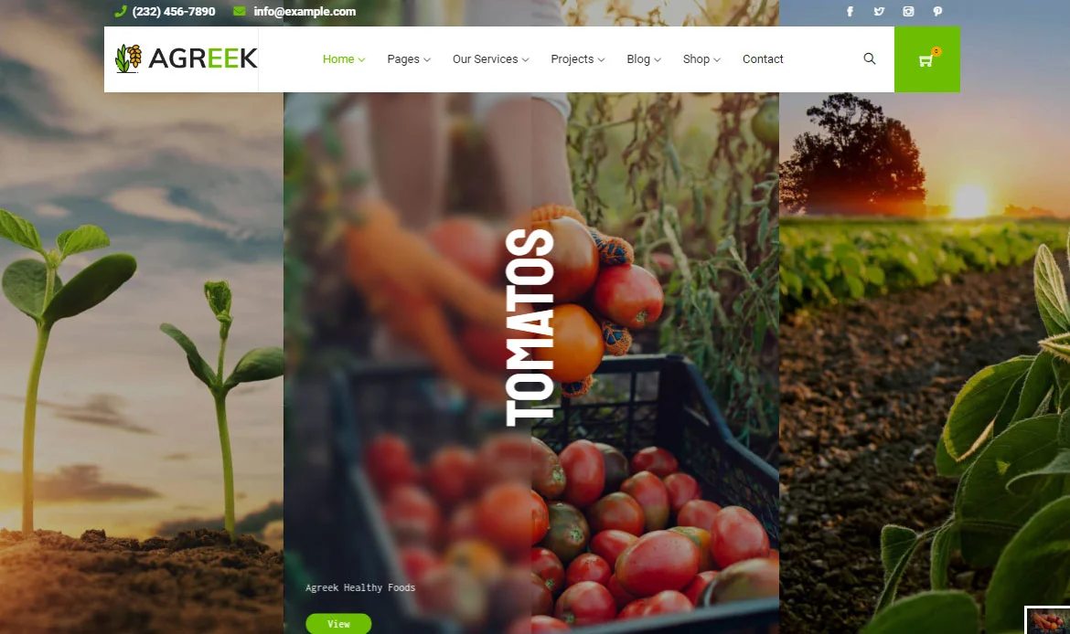 Unique WordPress Themes