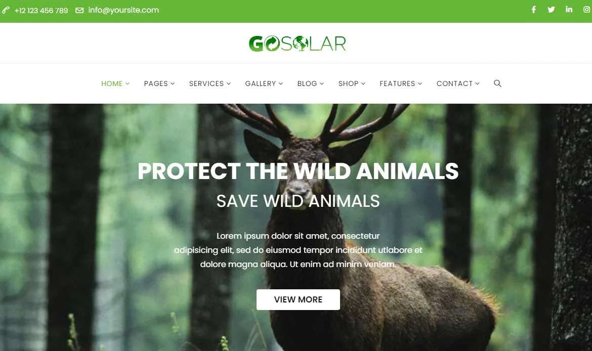 Professional WordPress Theme