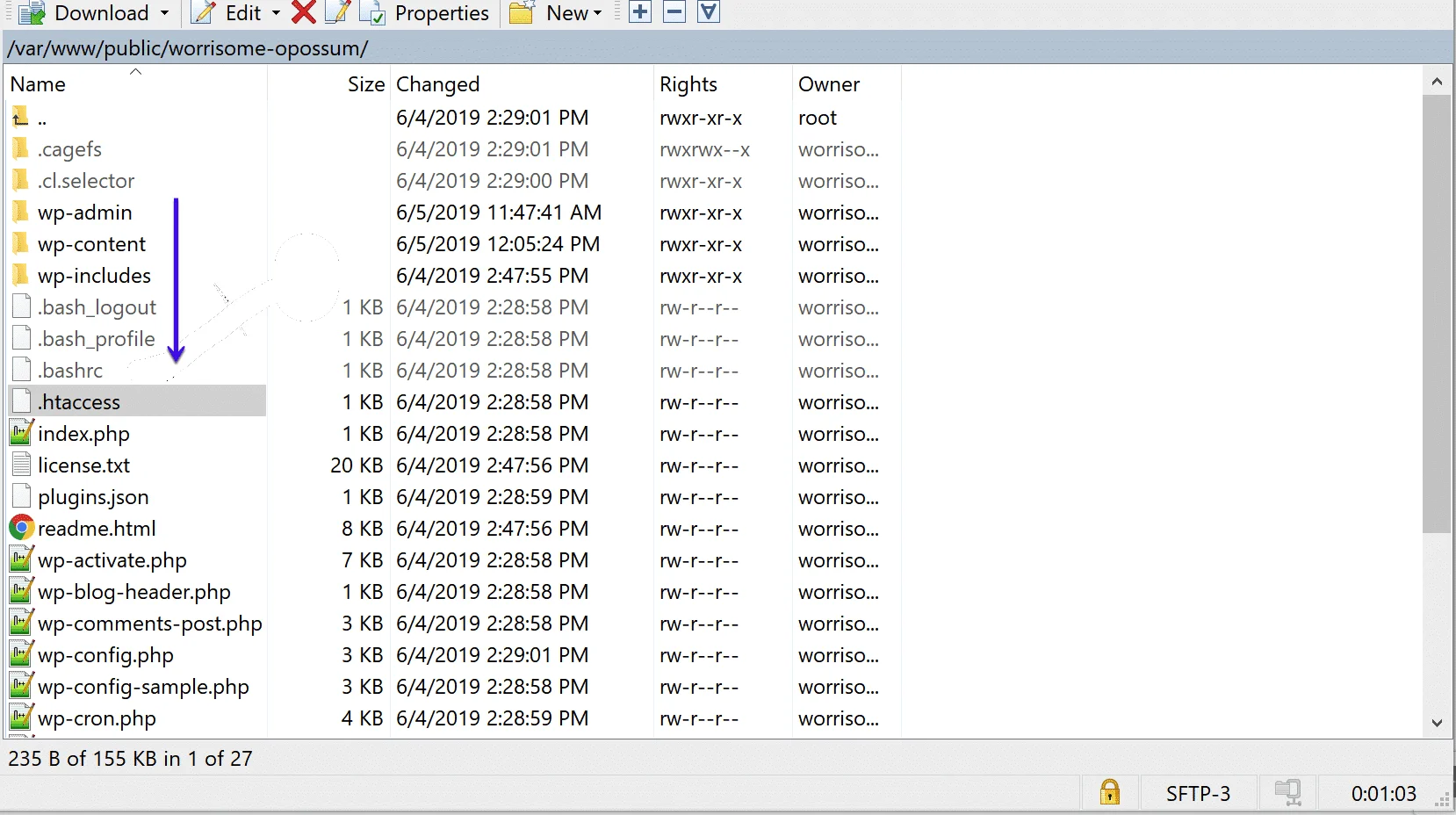 Examine .htaccess File