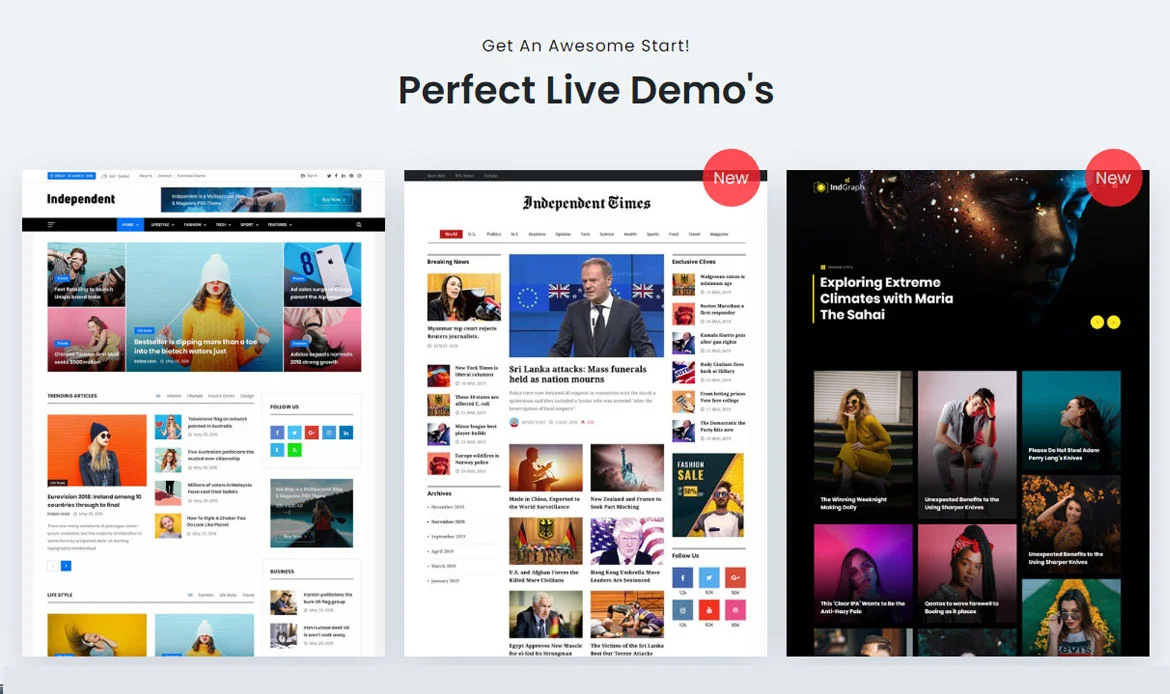 Magazine WordPress Website