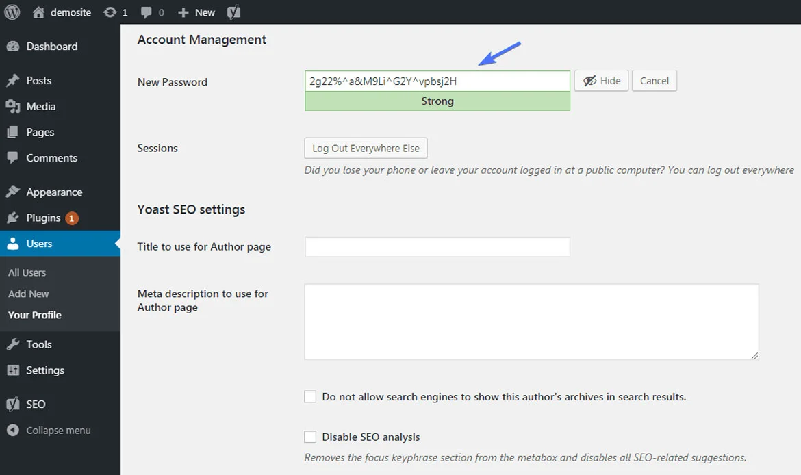 WordPress Security Issues