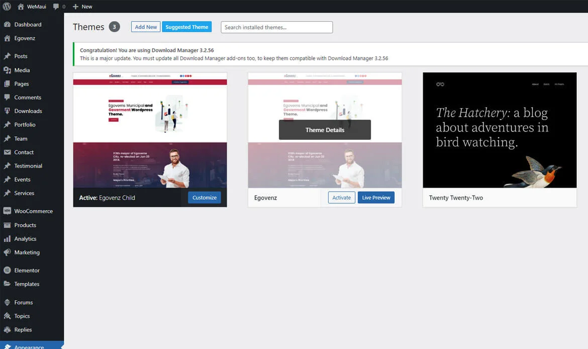 activate theme upgrade WordPress themes