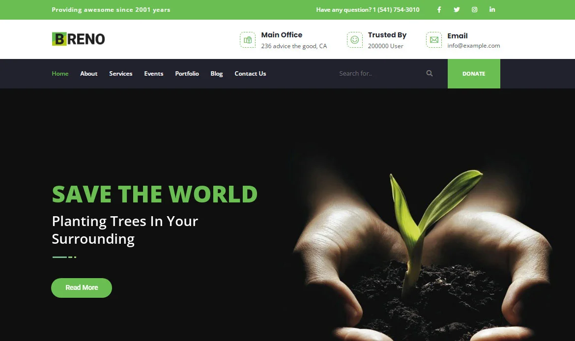 Professional Theme for Website