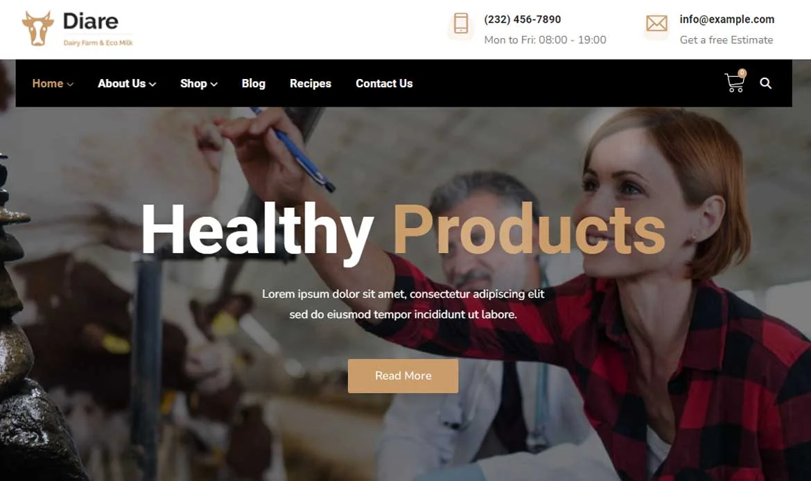 Creative WordPress Themes