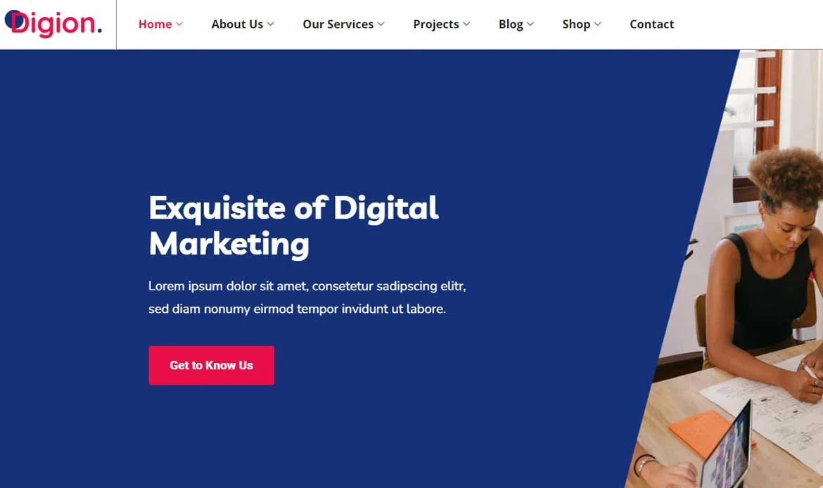 digital marketing agencies theme