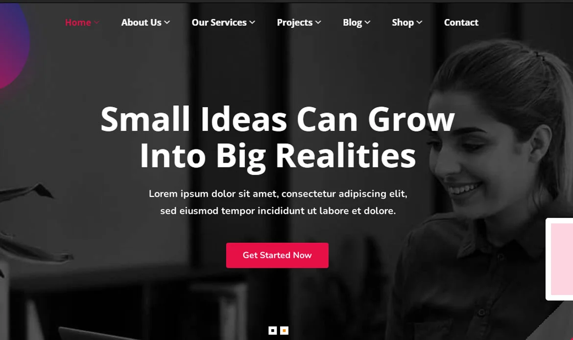 Popular WordPress Theme