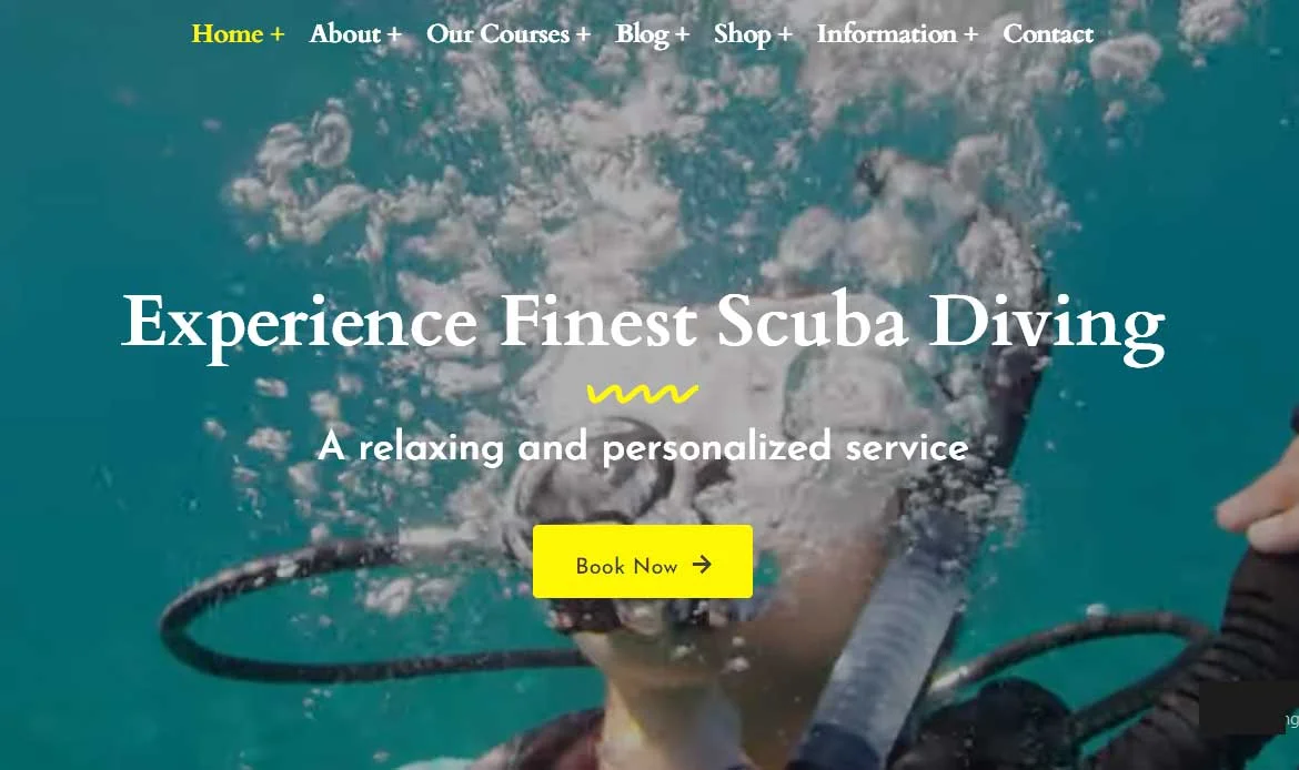 Creative WordPress Themes