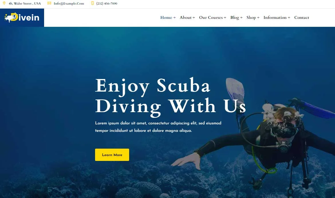 Divein WooCommerce Support Theme