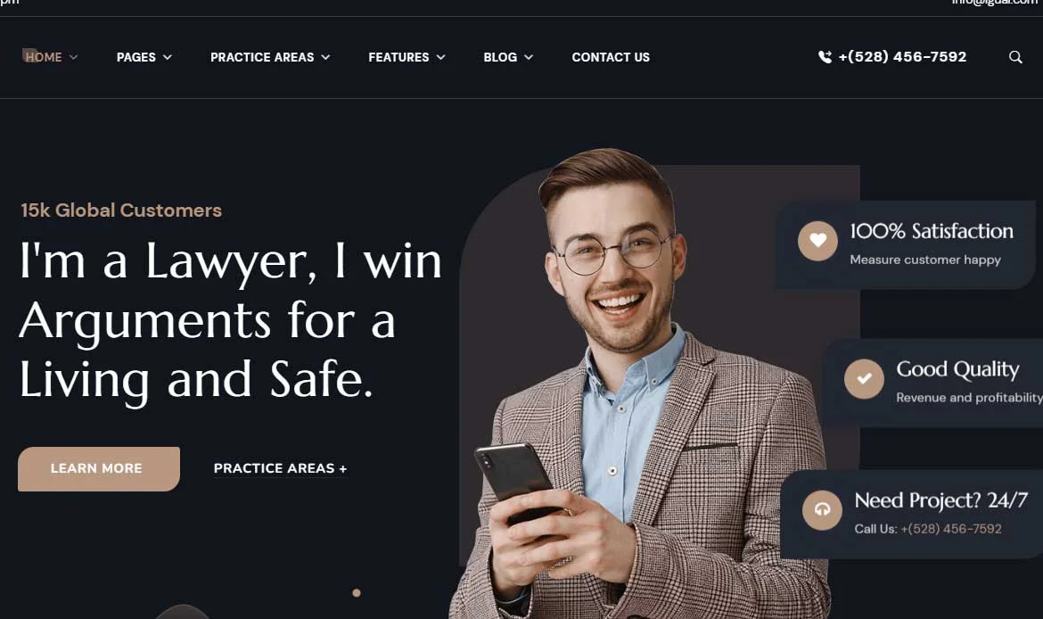 professional WordPress theme