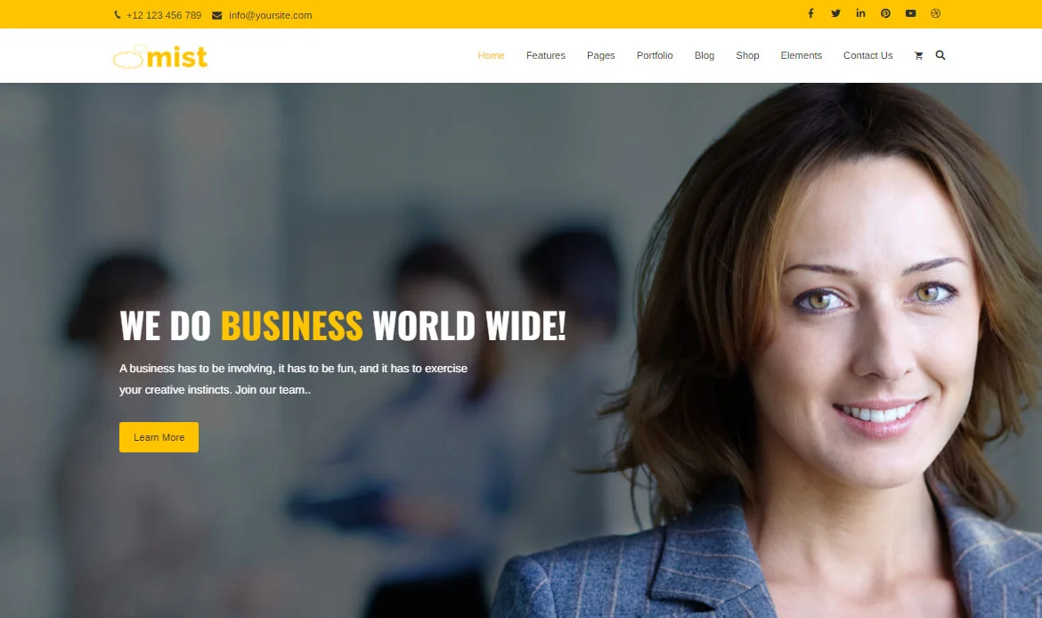 Popular Website Theme