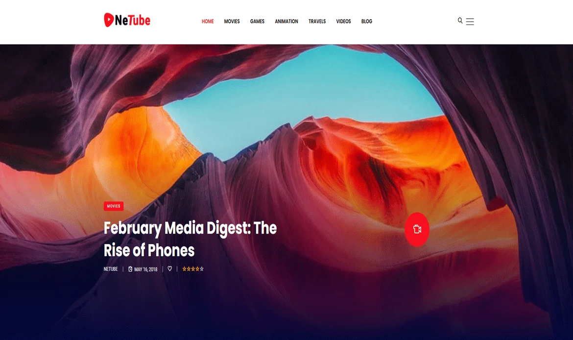 Netube WordPress Website