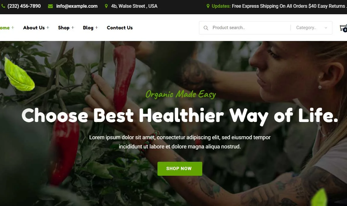 Fastest Website Theme