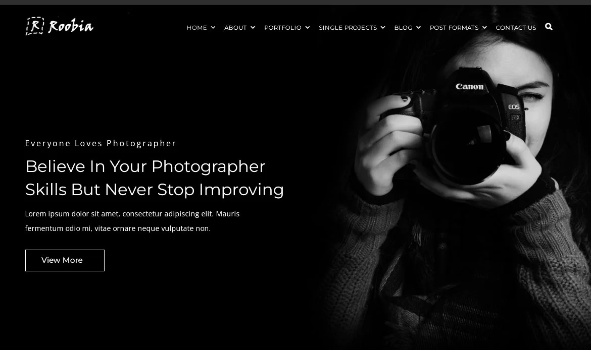 Roobia Portfolio Template