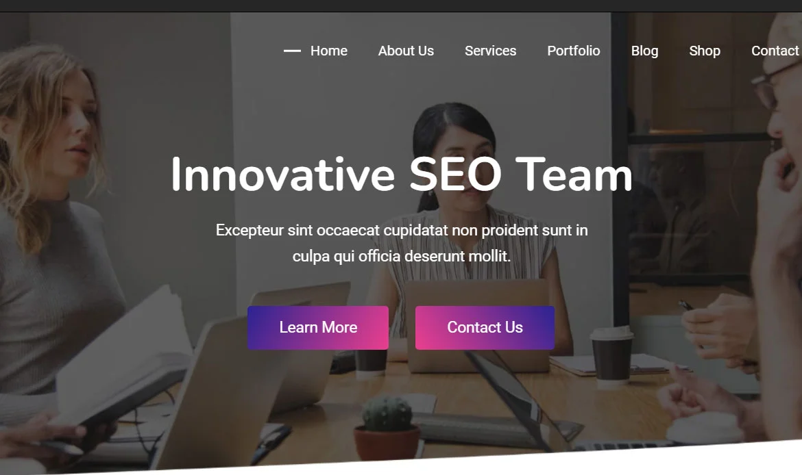 Professional Theme for Website