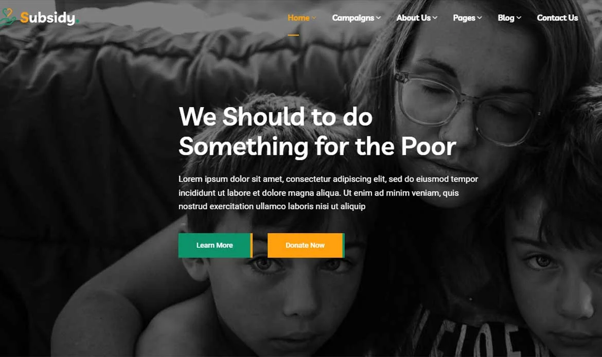 Subsidy Website Templates