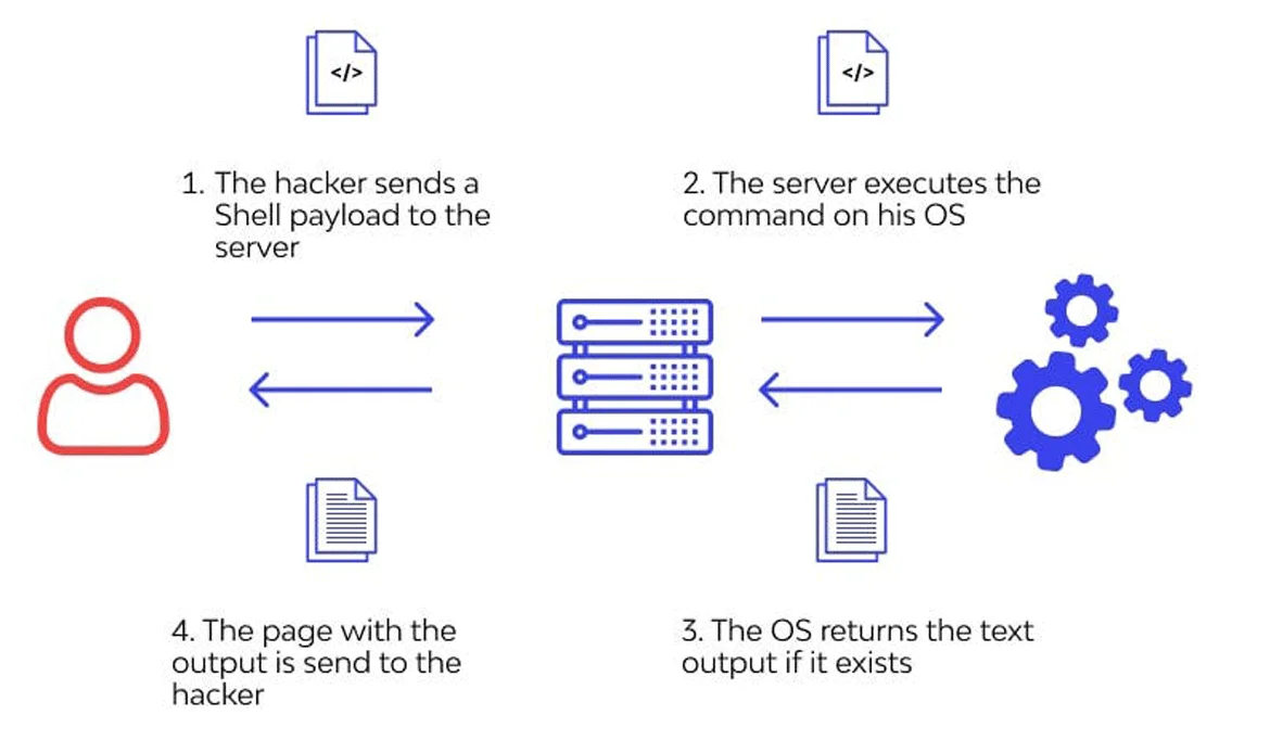 WebSocket Connection Errors WP Themes