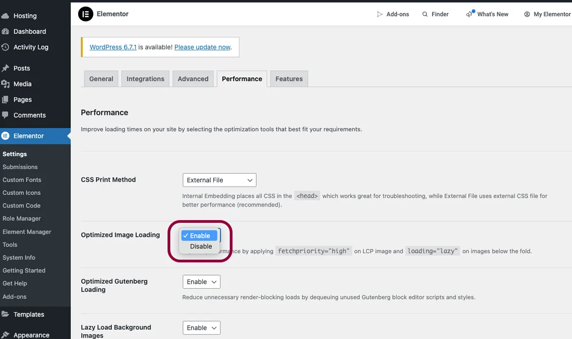 elementor-performance-settings
