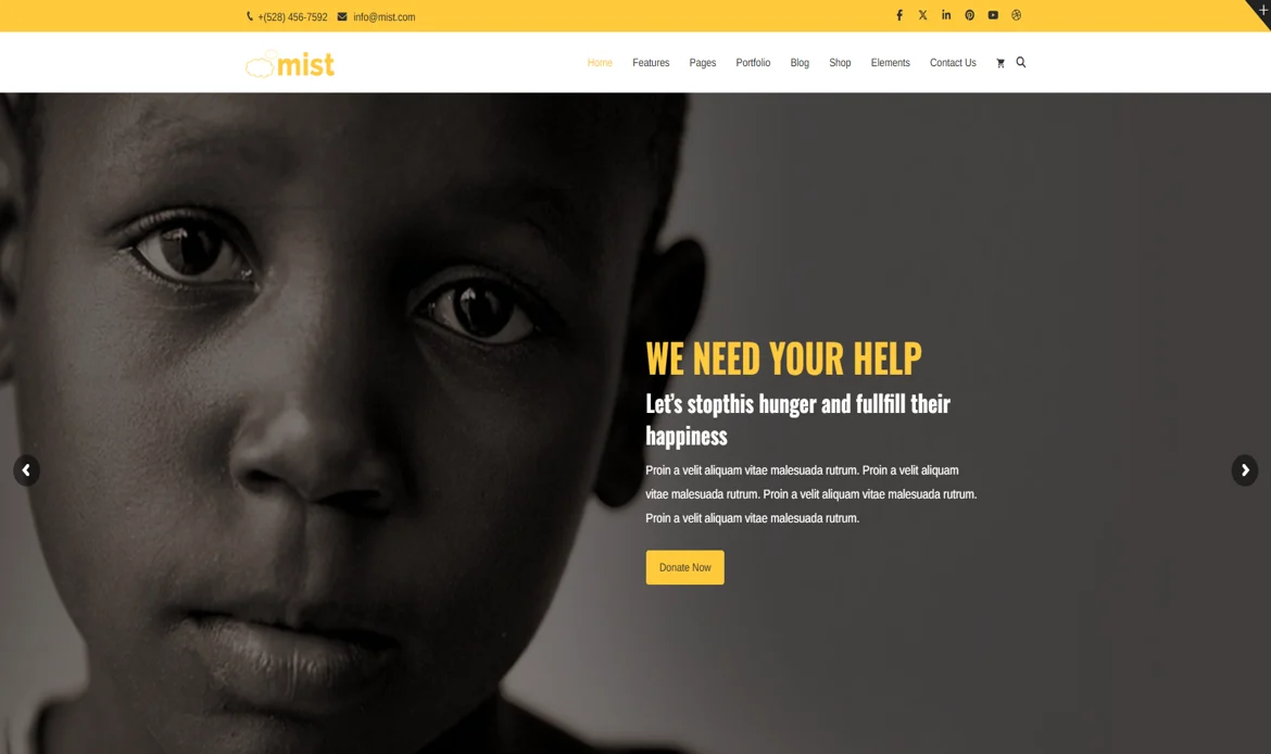 Multipurpose WordPress Theme