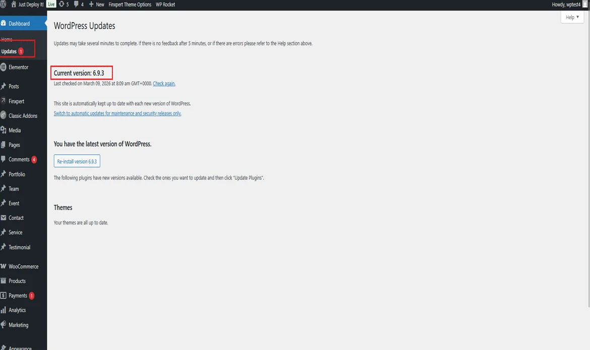update themes or plugins