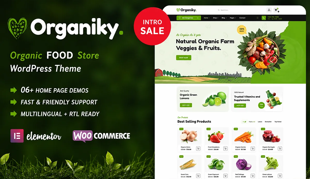 Organic Food Store WordPress Theme – Organiky