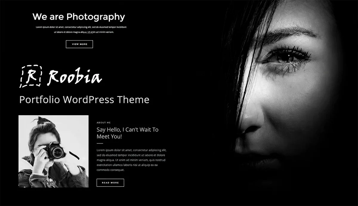 Creative Portfolio WordPress Theme – Roobia